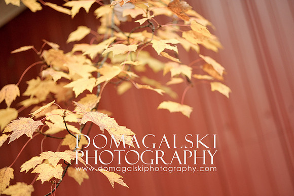 IMG_0007-2