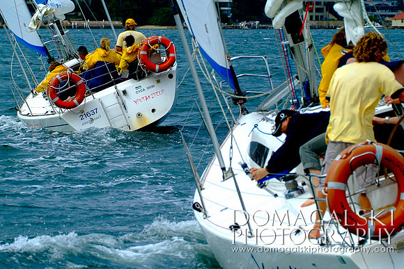 IMG_0029 copy